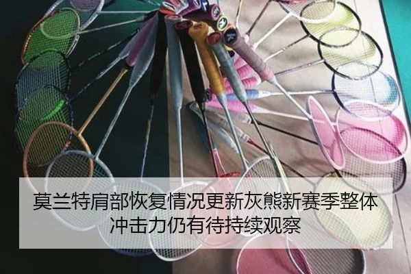 莫兰特肩部恢复情况更新灰熊新赛季整体冲击力仍有待持续观察